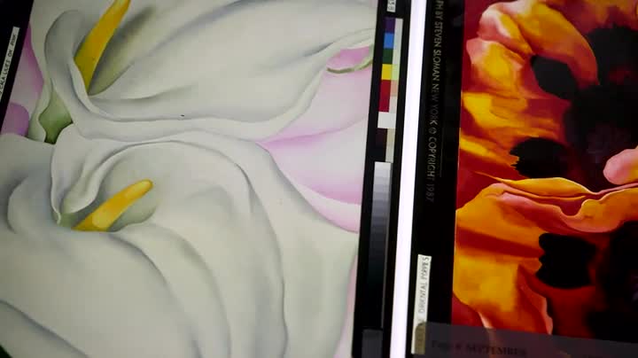 Georgia O'Keeffe: One Hundred Flowers: O'Keeffe, Georgia